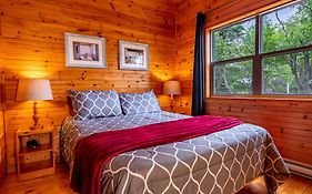 Avonlea Forest Hill Cottages